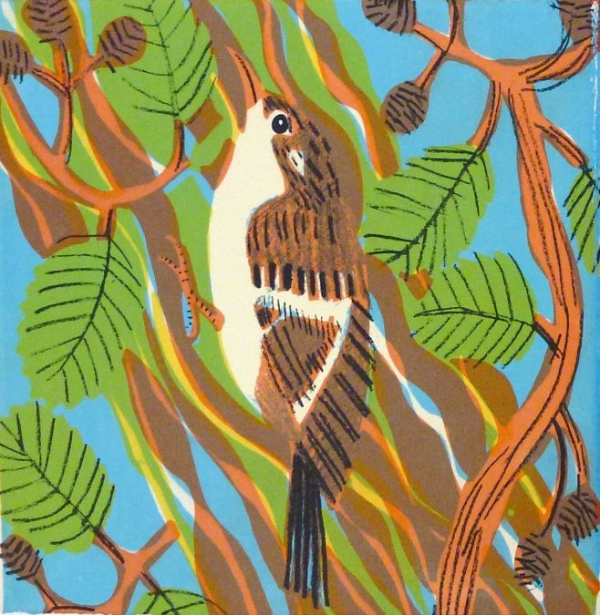 Treecreeper bird screen print