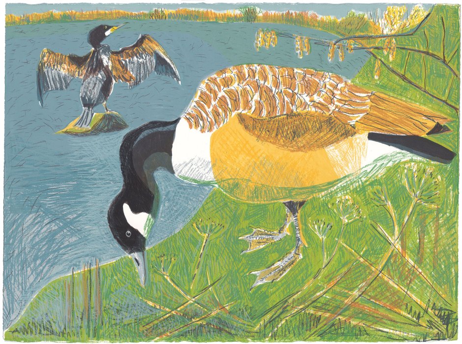 Goose and Cormorant screen print