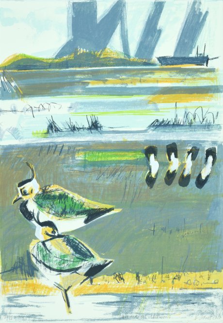 Saltmarsh lapwings