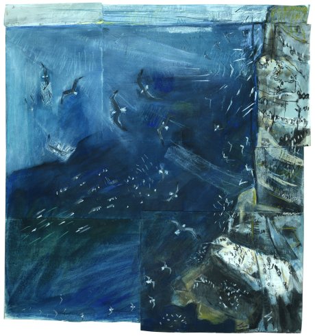 Kittiwake Sea