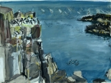 Gathering Guillemots, Isle of May