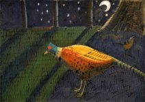 Moonlit pheasant