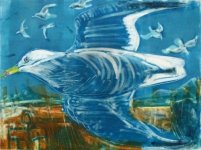 Flying Gull Blue
