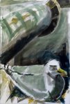 Hot Nesting Gull, Bass Rock