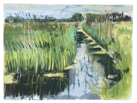 Reeds and Reflections (Norton Marshes)