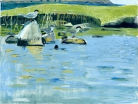 Resting Terns, Scatness