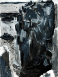 Kittiwake Ledges
