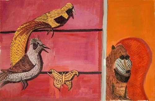 The Baboon, the Birds and the Butterfly