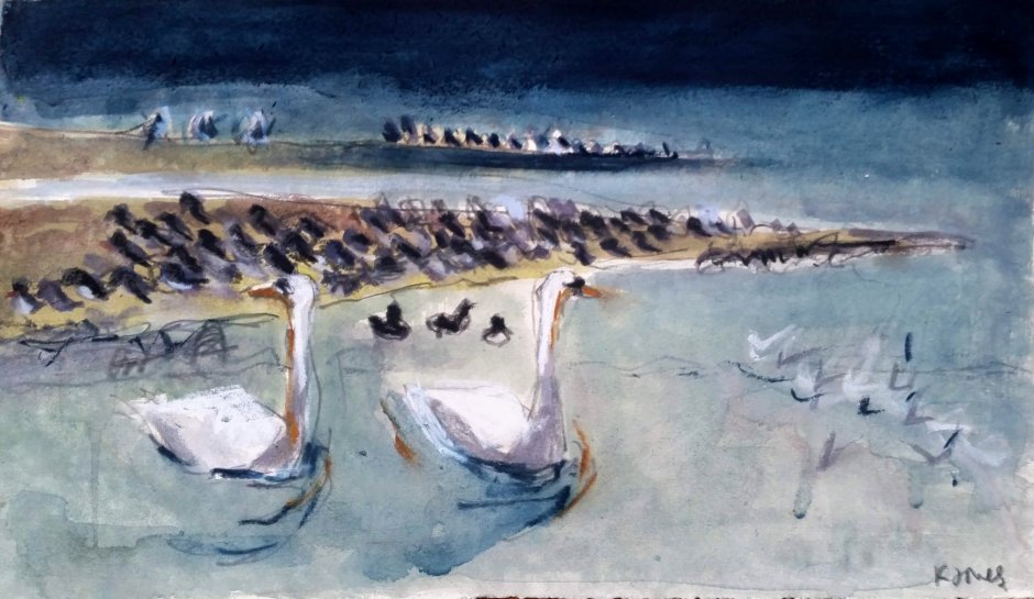 Winter swans and oystercatchers