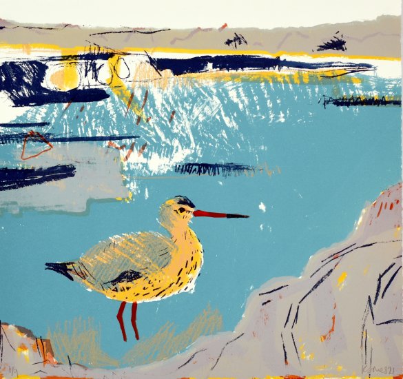 Shoreline Redshank