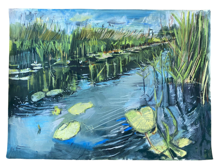 Water lilies at Reach Lode