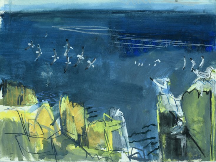 Kittiwakes hanging on