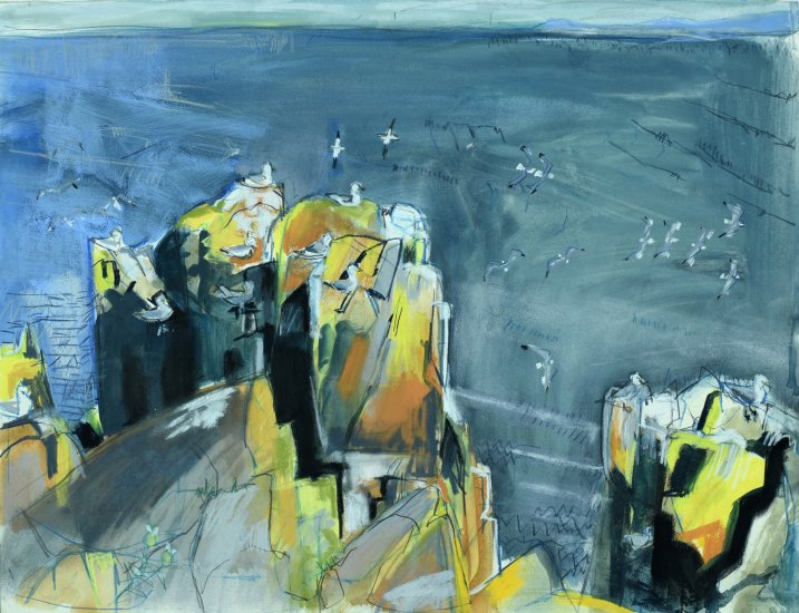 Kittiwakes over a changing sea