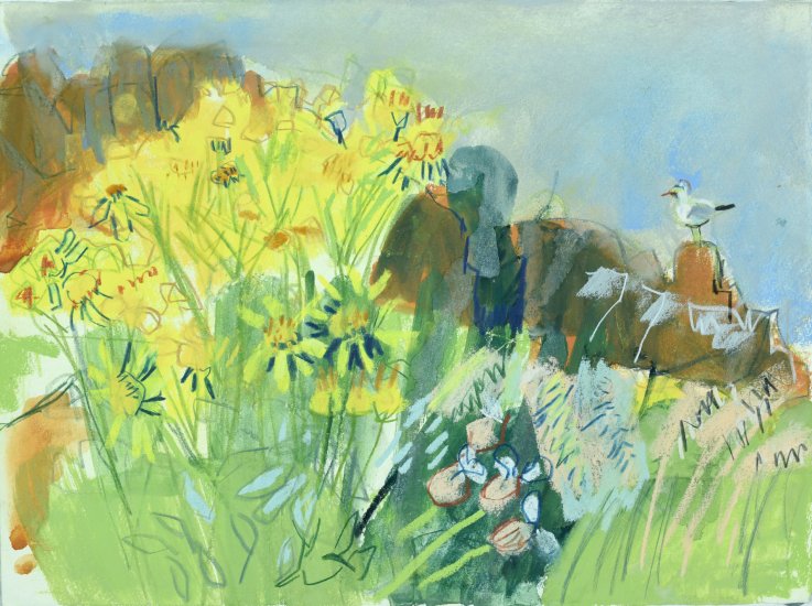 Ragwort in the mist, Isle of May