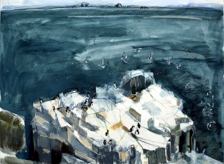 End of Seabird Season