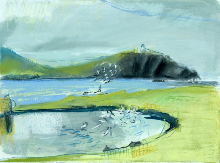 Flocking Terns, Scatness
