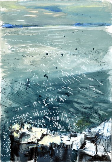 Kittiwakes preparing to leave the island