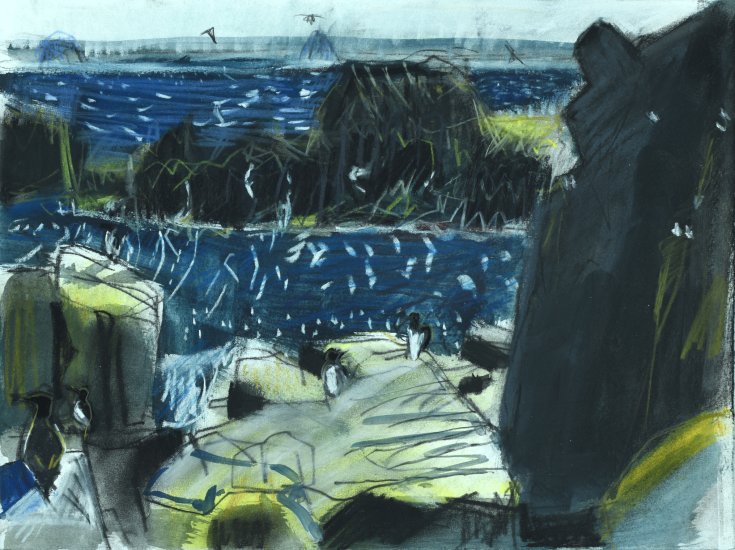 Sheltered Cove II